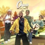 Ogechi (Remix) by Davido ft. Brown Joel & BoyPee Mp3 Download