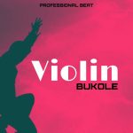 Professional Beat – Violin Bukole